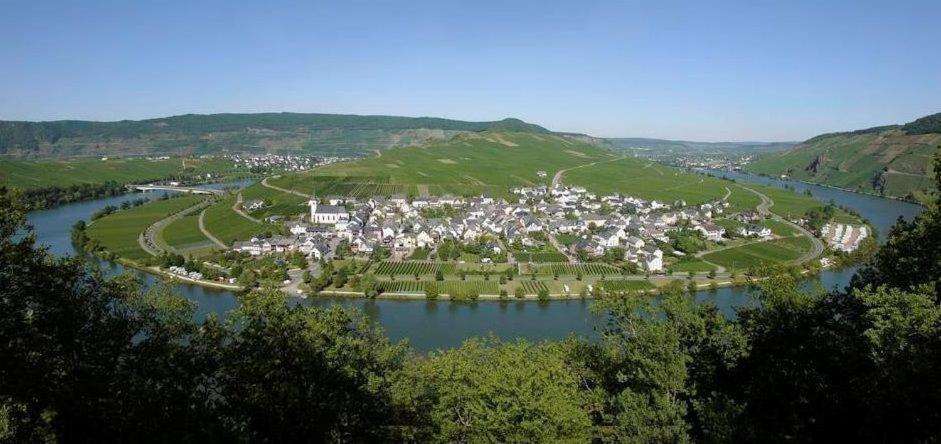Fewo-Minheim Waltraud Und Franz Bayer Ngoại thất bức ảnh